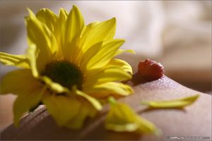 's photo