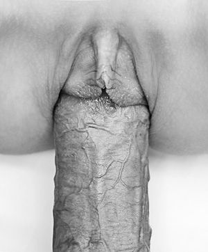's photo