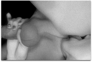 's photo