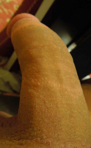 's photo