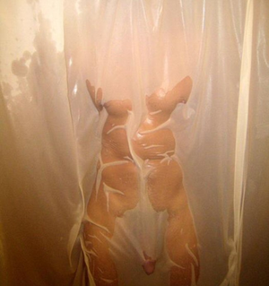 's photo