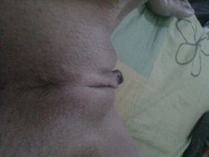 's photo