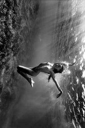 's photo