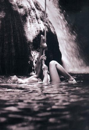 's photo
