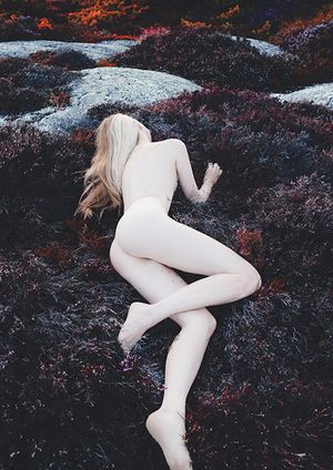 's photo