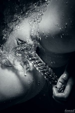 's photo