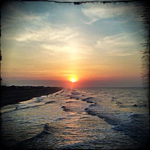 's photo