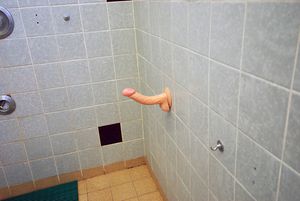 's photo