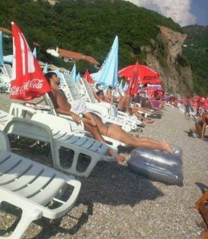 's photo