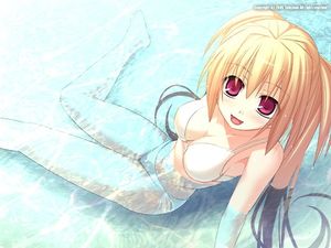 's photo