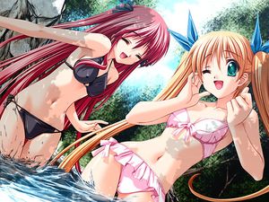 's photo