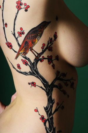's photo