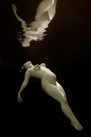 's photo