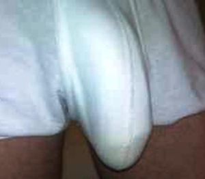 's photo