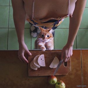 's photo
