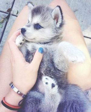 's photo