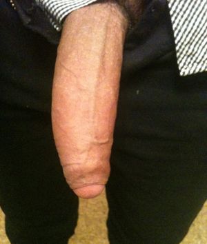 's photo