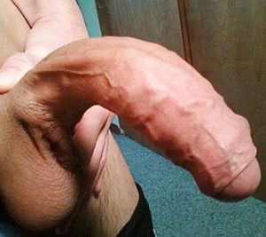 's photo