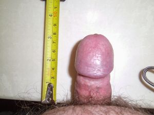 's photo