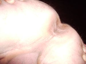 's photo