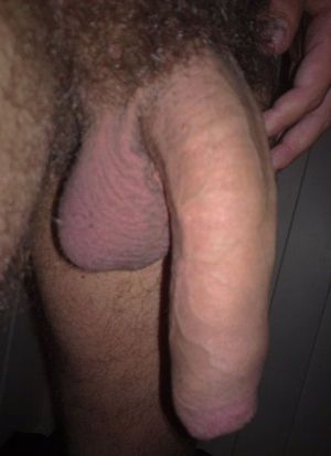 's photo
