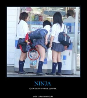 's photo