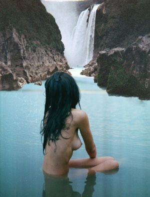 's photo
