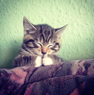 's photo