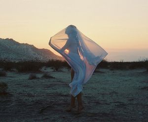 's photo