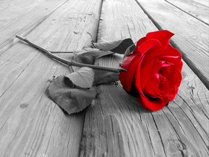 's photo