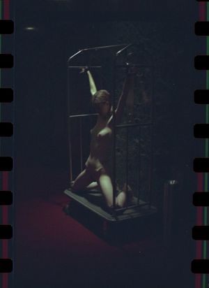 's photo