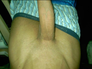 's photo