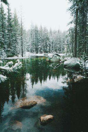 's photo