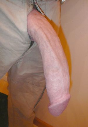 's photo