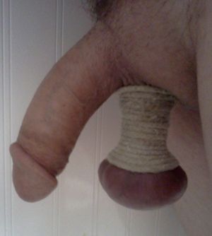 's photo