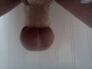 's photo