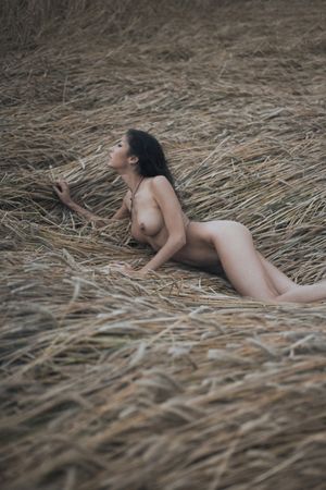 's photo