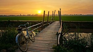 's photo