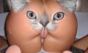 's photo