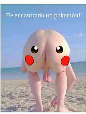 's photo