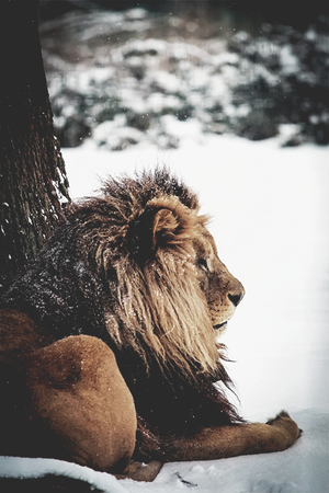 's photo