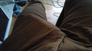 's photo