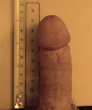 's photo