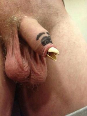 's photo