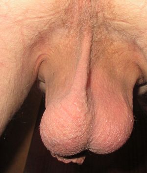 's photo